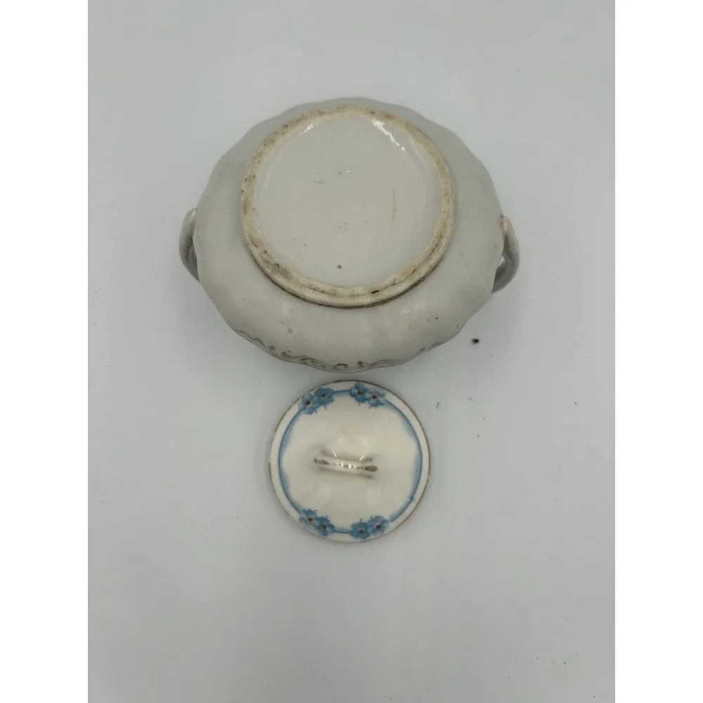 Vintage Porcelain Hand painted Floral Pink Blue Sugar Jar Double Handles Lid